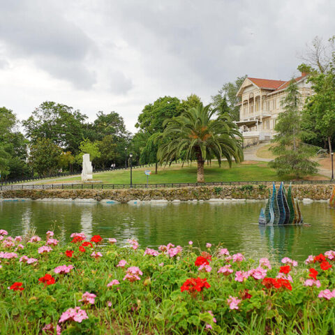 Emirgan Korusu