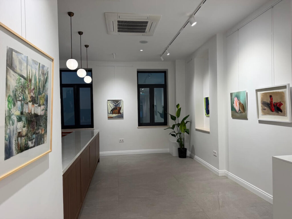 Bakışın Nesnesi, Akademililer Sanat Galerisi